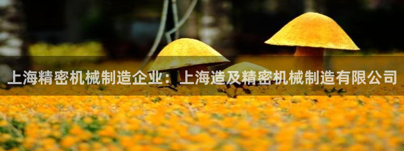 彩神8官网500：上海精密机械制造企业：上海造及精密机械制造有限公司