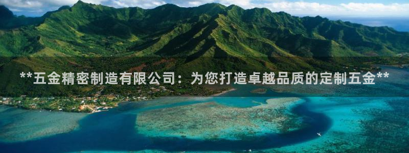 彩神iv能赚钱吗：**五金精密制造有限公司：为您打造卓越品质的定制五金**