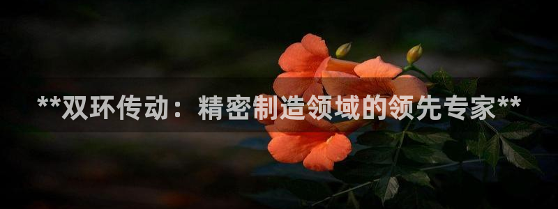 下载彩神通关注金码：**双环传动：精密制造领域的领先专家**