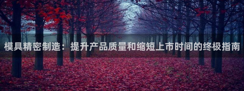 彩神网合法吗：模具精密制造：提升产品质量和缩短上市时间的终极指南