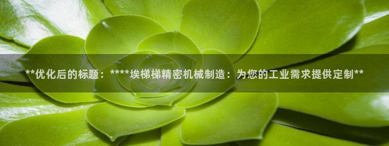 所有彩神购买首页：**优化后的标题：****埃梯梯精密机械制造：为您的工业需求提供定制**