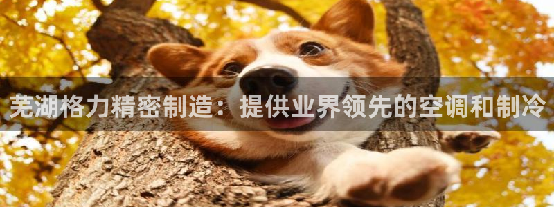 彩神V3大赢家：芜湖格力精密制造：提供业界领先的空调和制冷