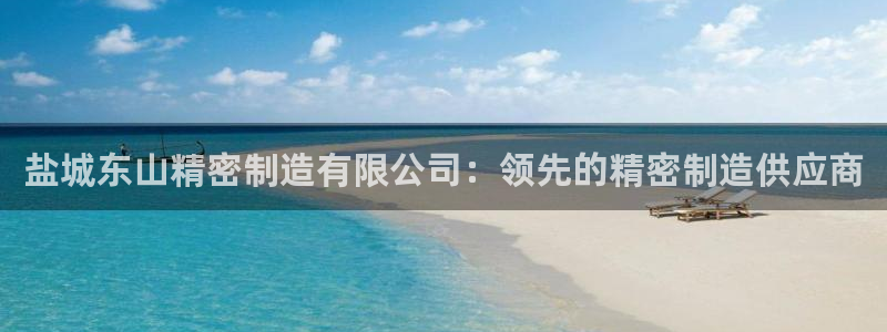 彩神vi官网版：盐城东山精密制造有限公司：领先的精密制造供应商