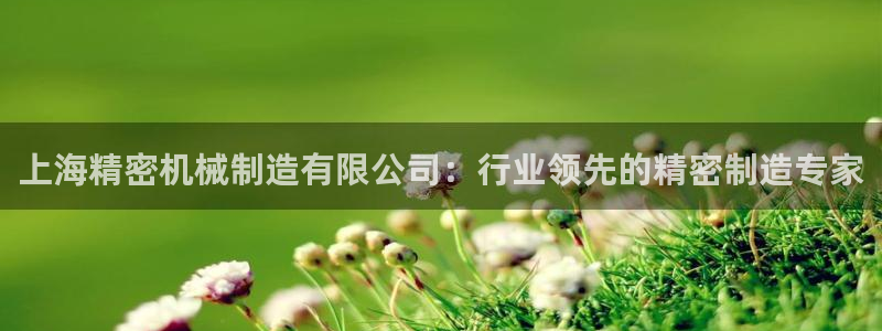 彩神是真的吗：上海精密机械制造有限公司：行业领先的精密制造专家