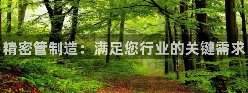 彩神官方登录：精密管制造：满足您行业的关键需求
