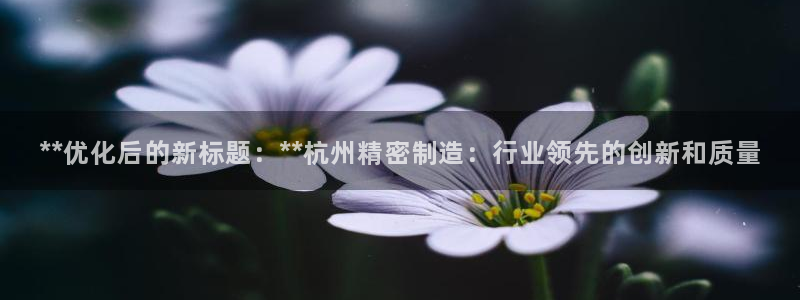 彩神争霸平台：**优化后的新标题：**杭州精密制造：行业领先的创新和质量