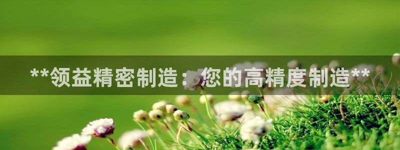 彩神v8手机客户端下载：**领益精密制造：您的高精度制造**