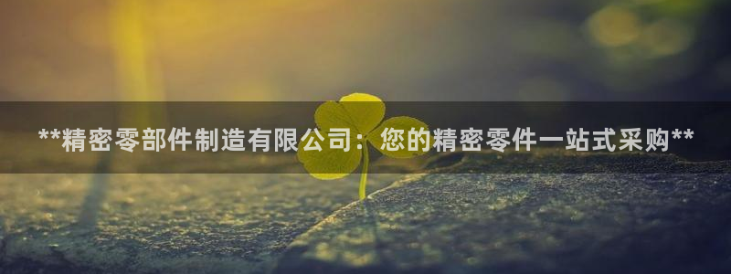 彩神vl购彩大厅：**精密零部件制造有限公司：您的精密零件一站式采购**