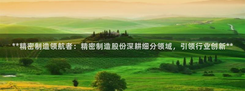 彩神v8手机客户端下载：**精密制造领航者：精密制造股份深耕细分领域，引领行业创新**