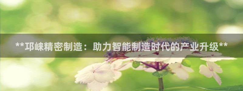 彩神是怎样一个平台赚钱的：**邛崃精密制造：助力智能制造时代的产业升级**