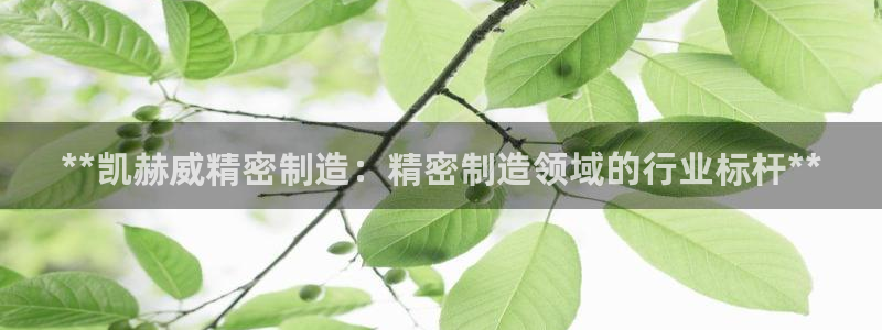 彩神的邀请码是多少：**凯赫威精密制造：精密制造领域的行业标杆**