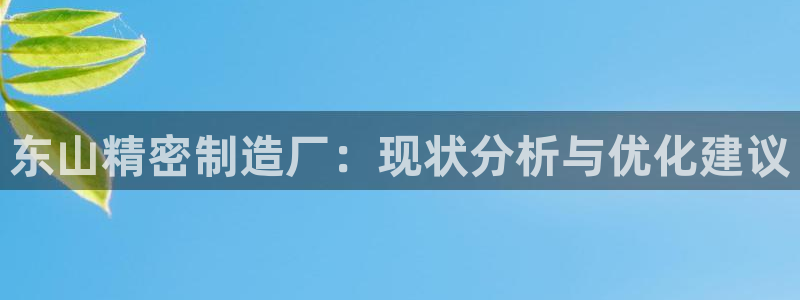 彩神v天天：东山精密制造厂：现状分析与优化建议
