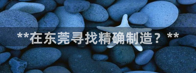彩神网能赚钱是怎么回事：**在东莞寻找精确制造？**