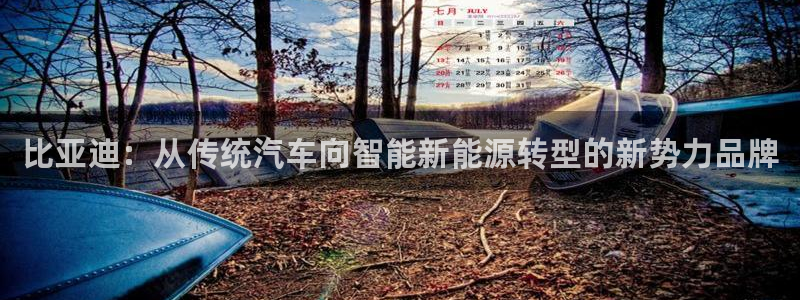 彩神v8平台正规吗