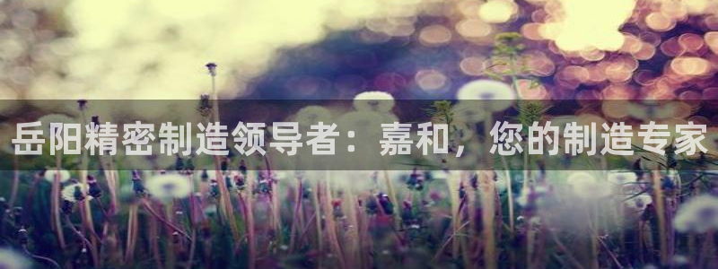 彩神v大众娱乐：岳阳精密制造领导者：嘉和，您的制造专家