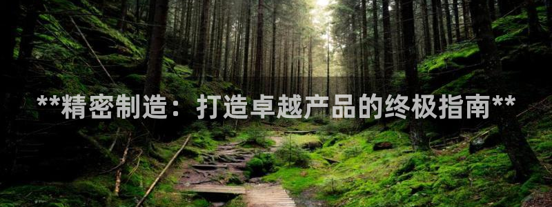 彩神app赚钱是真是假：**精密制造：打造卓越产品的终极指南**