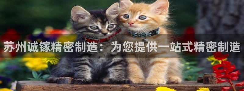 彩神v8下载网址：苏州诚镓精密制造：为您提供一站式精密制造