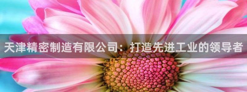 彩神Vll：天津精密制造有限公司：打造先进工业的领导者