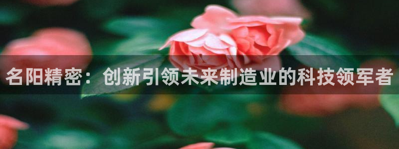 彩神vl购彩大厅：名阳精密：创新引领未来制造业的科技领军者