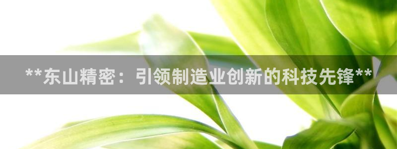 彩神iv真的能赚钱吗：**东山精密：引领制造业创新的科技先锋**