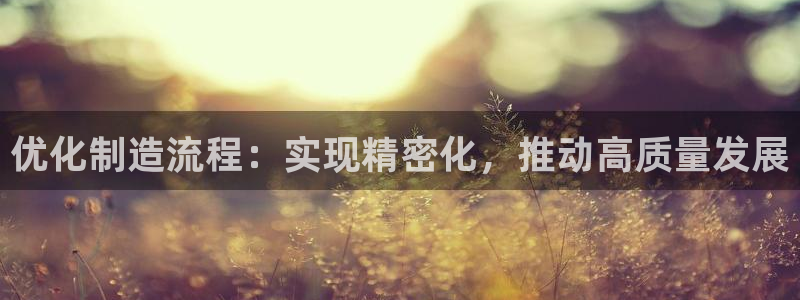 彩神v8是真的挣钱吗：优化制造流程：实现精密化，推动高质量发展