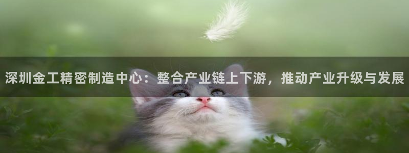 彩神赢的钱是哪里来的啊：深圳金工精密制造中心：整合产业链上下游，推动产业升级与发展