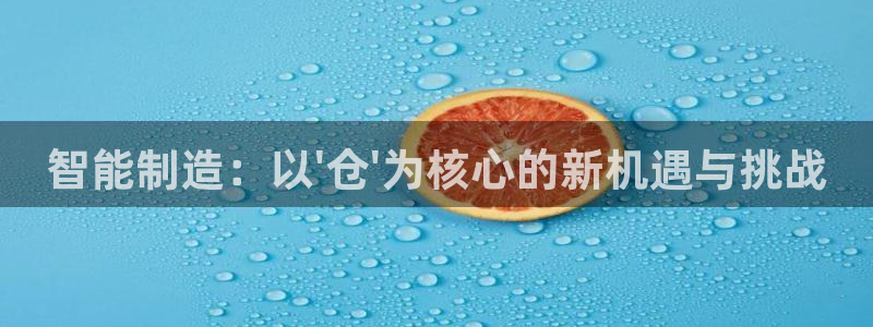 彩神v秘聊号码：智能制造：以\'仓\'为核心的新机遇与挑战