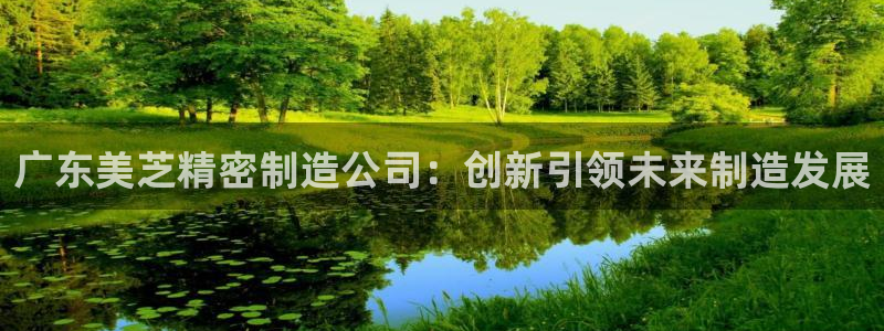 彩神通关注码金码对应码：广东美芝精密制造公司：创新引领未来制造发展