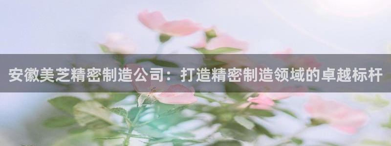 彩神iv能赚钱吗：安徽美芝精密制造公司：打造精密制造领域的卓越标杆