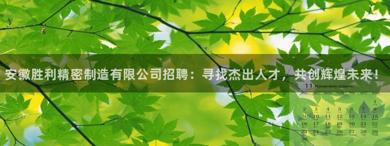 彩神v1破解器：安徽胜利精密制造有限公司招聘：寻找杰出人才，共创辉煌未来！