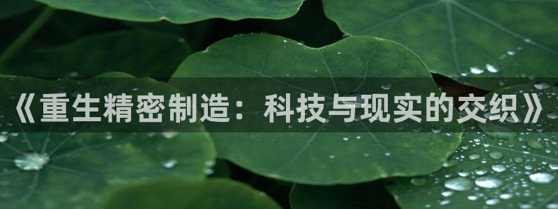 下载彩神通关注码：《重生精密制造：科技与现实的交织》