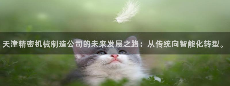 彩神Vll购彩大厅：天津精密机械制造公司的未来发展之路：从传统向智能化转型。