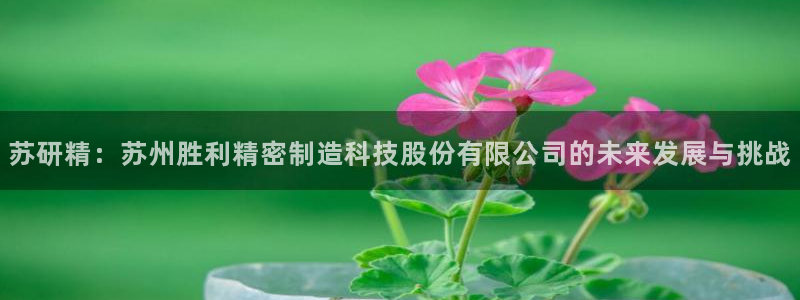 彩神购彩-购彩大厅入口：苏研精：苏州胜利精密制造科技股份有限公司的未来发展与挑战