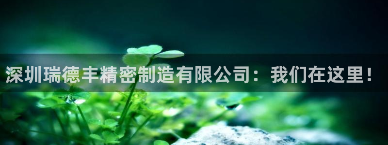 彩神购彩-购彩大厅入口36fr：深圳瑞德丰精密制造有限公司：我们在这里！