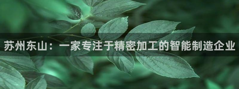彩神旗下有哪些平台可以玩：苏州东山：一家专注于精密加工的智能制造企业