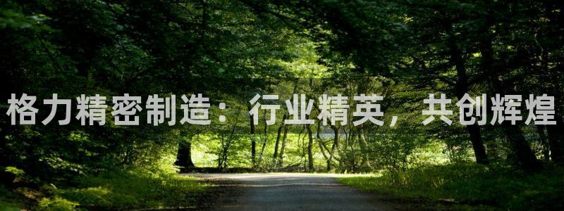 彩神v违法么：格力精密制造：行业精英，共创辉煌