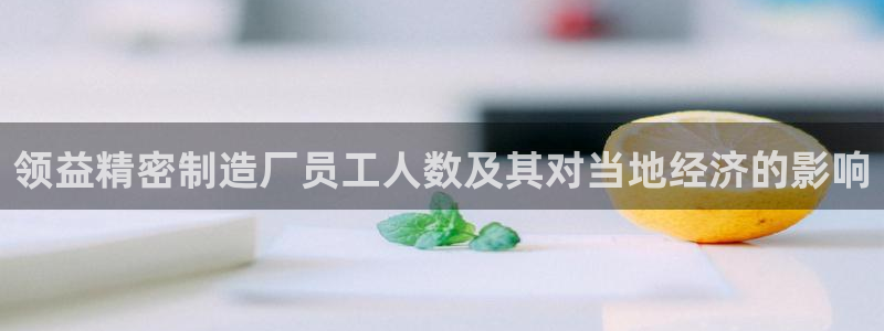 新版彩神v8登录不上去：领益精密制造厂员工人数及其对当地经济的影响