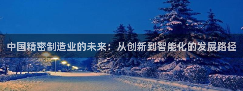 彩神官方邀请码是多少：中国精密制造业的未来：从创新到智能化的发展路径
