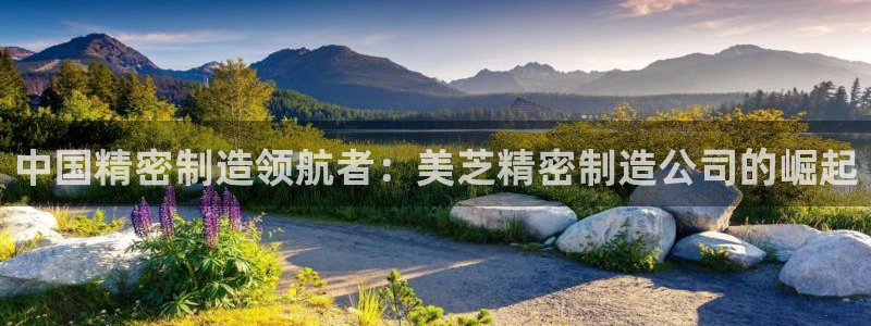彩神vii官网大赢家：中国精密制造领航者：美芝精密制造公司的崛起