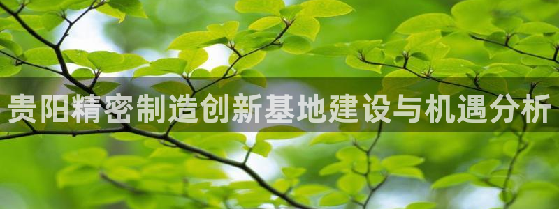 彩神v8下载：贵阳精密制造创新基地建设与机遇分析