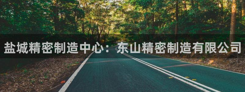 彩神8是正规平台吗安全吗：盐城精密制造中心：东山精密制造有限公司