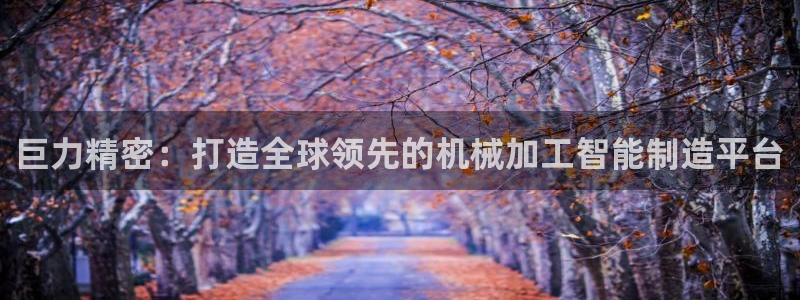大发彩神官网下载：巨力精密：打造全球领先的机械加工智能制造平台