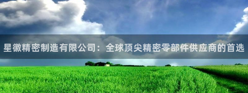彩神大发三期计划网站：星徽精密制造有限公司：全球顶尖精密零部件供应商的首选