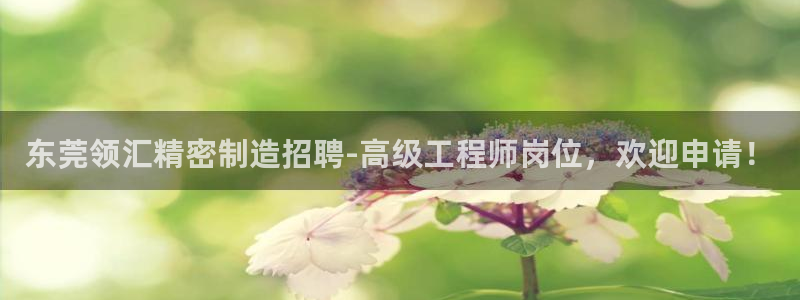 彩神天下专家专栏：东莞领汇精密制造招聘-高级工程师岗位，欢迎申请！