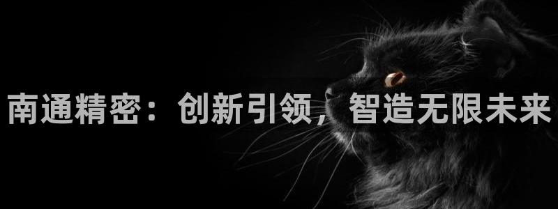 彩神团队是真的吗：南通精密：创新引领，智造无限未来