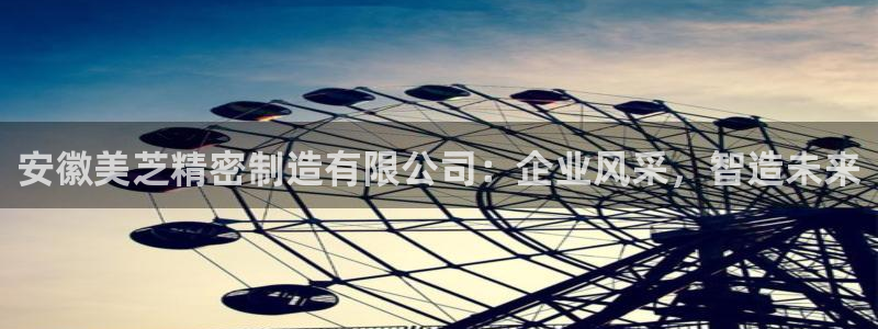 彩神是正规平台吗安全吗：安徽美芝精密制造有限公司：企业风采，智造未来