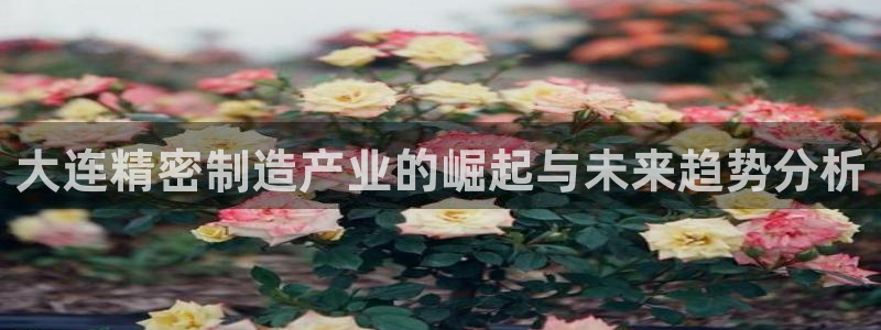 彩神争霸官方登录：大连精密制造产业的崛起与未来趋势分析