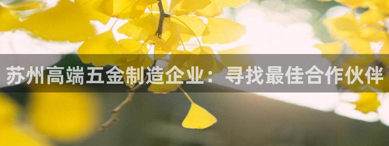 彩神购彩-购彩大厅入口500：苏州高端五金制造企业：寻找最佳合作伙伴