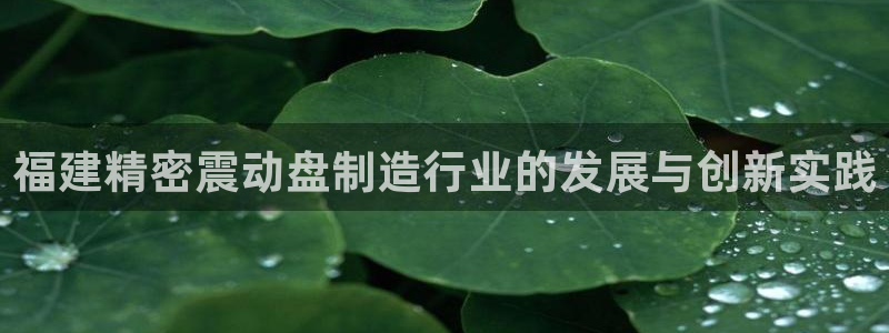 彩神V8平台：福建精密震动盘制造行业的发展与创新实践