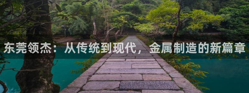 彩神vll首页企业文化：东莞领杰：从传统到现代，金属制造的新篇章